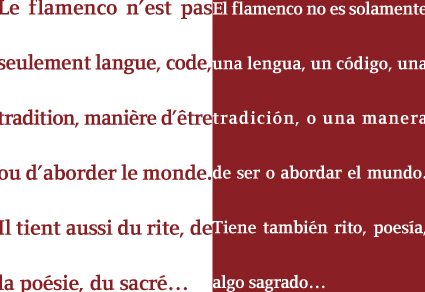 Flamenco en flammes extrait du livre