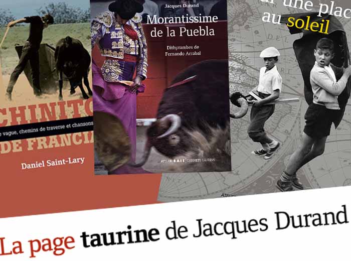 ruedo-newton Carnets taurins
